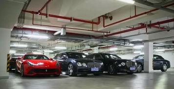 郑州豪车爆料视频网,揭秘城市繁华背后的奢华车流  第2张